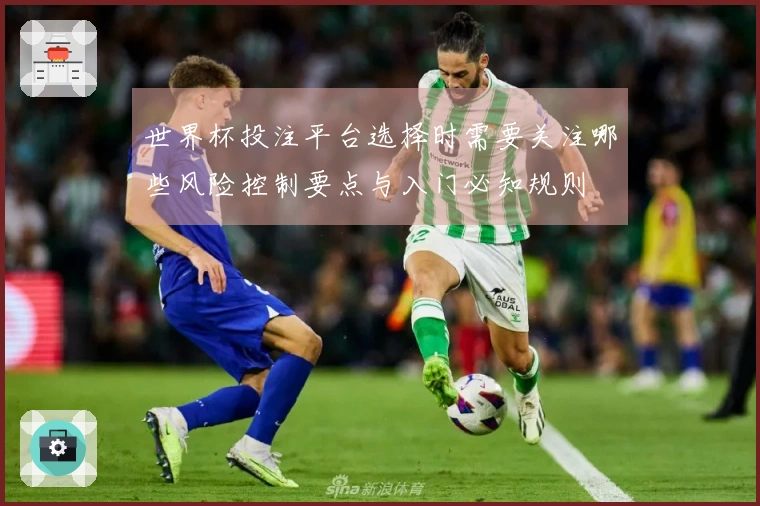世界杯投注平台选择时需要关注哪些风险控制要点与入门必知规则