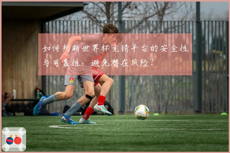 如何判断世界杯竞猜平台的安全性与可靠性，避免潜在风险？