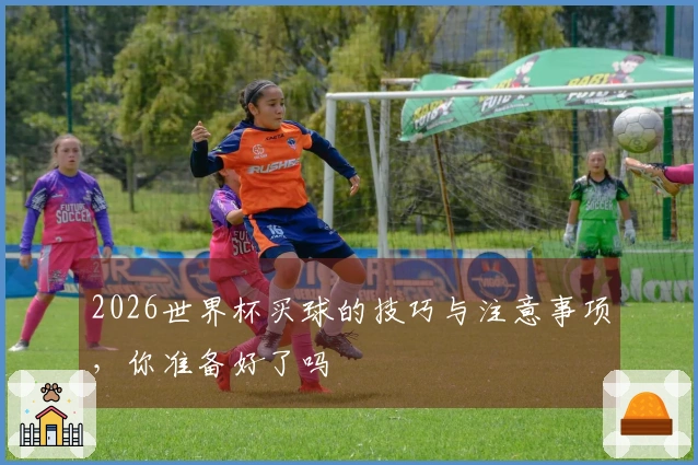 2026世界杯买球的技巧与注意事项，你准备好了吗