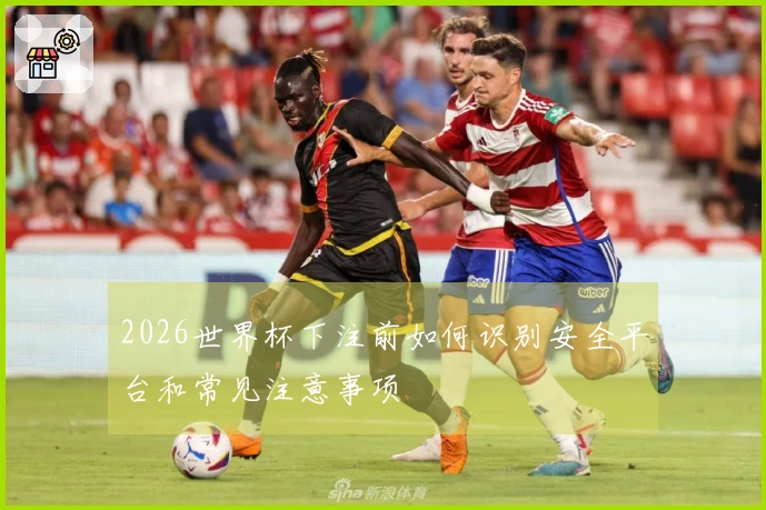 2026世界杯下注前如何识别安全平台和常见注意事项